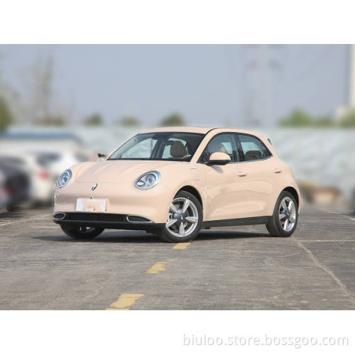2022 New Car New Energy Vehicle price Hot Selling Chinese Electric Car Euler good cat 401km standard endurance type Electric Car